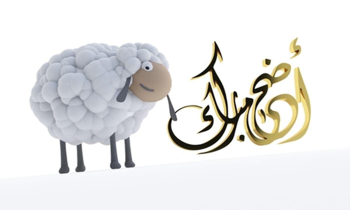 اليوم: تونس وسائر الدول الإسلامية تحتفل بعيد الأضحى