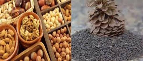 تونس: انطلاق مراقبة محلات بيع الزقوقو والفواكه الجافة استعدادا للمولد النبوي الشريف