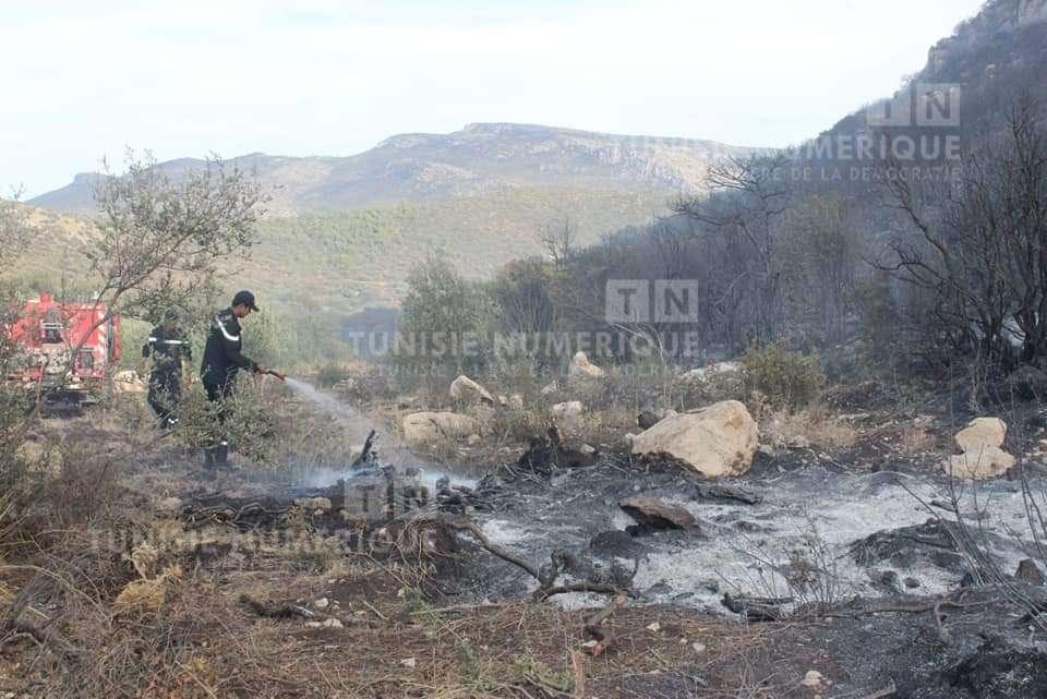 سليانة : السيطرة على حريق اندلع بجبل برقو  [صور]