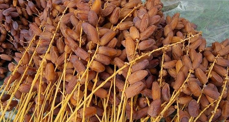 عائدات صادرات التمور ترتفع بنسبة 22.7 بالمائة منذ بداية الموسم