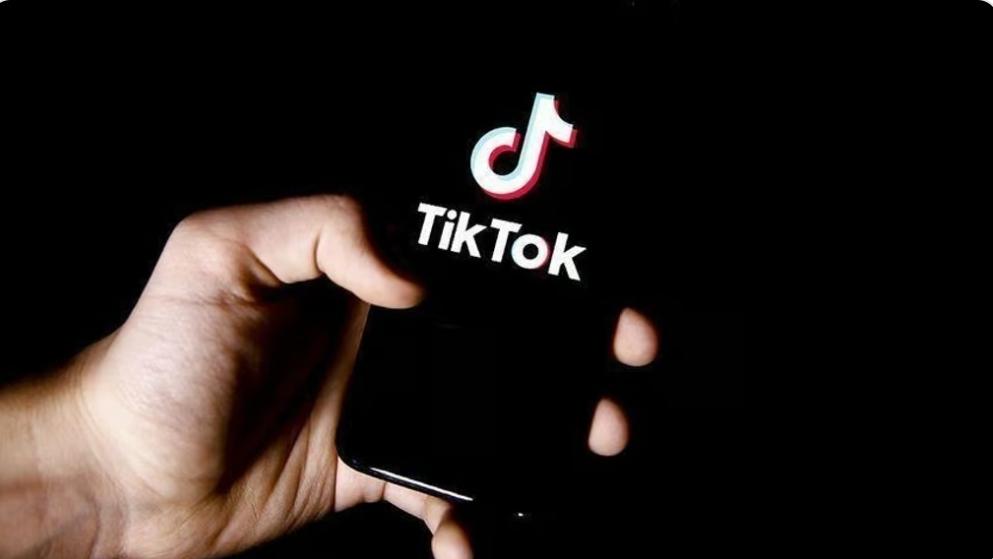 ترتيب أكبر 10 دول من حيث عدد مستخدمي TikTok لسنة 2024