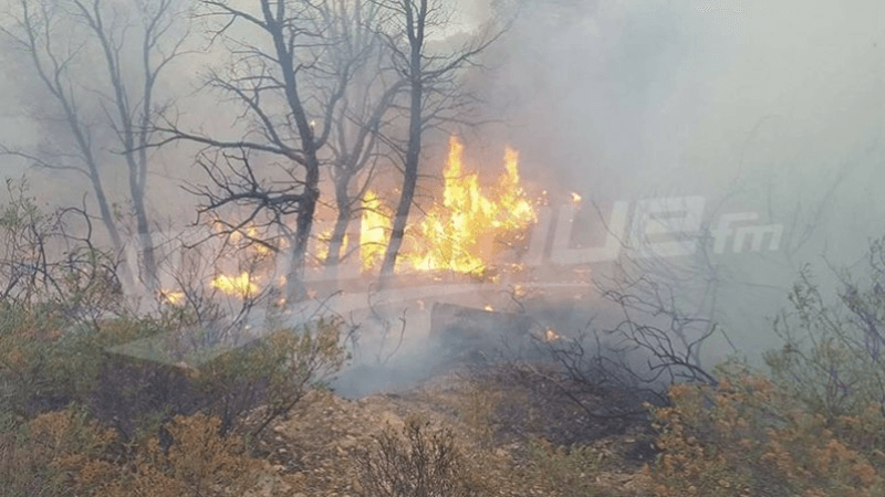 سليانة: السيطرة على حريق بجبل مزاته