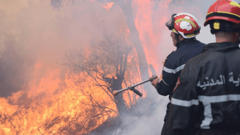 سجنان: اندلاع حريق بمنطقة حكارة