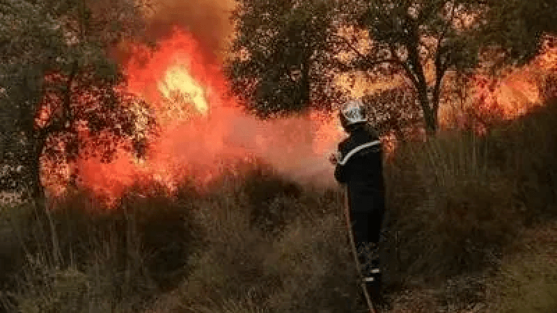 سجنان: تواصل عمليات إطفاء حريق حكارة.. والنيران تقترب من المنازل