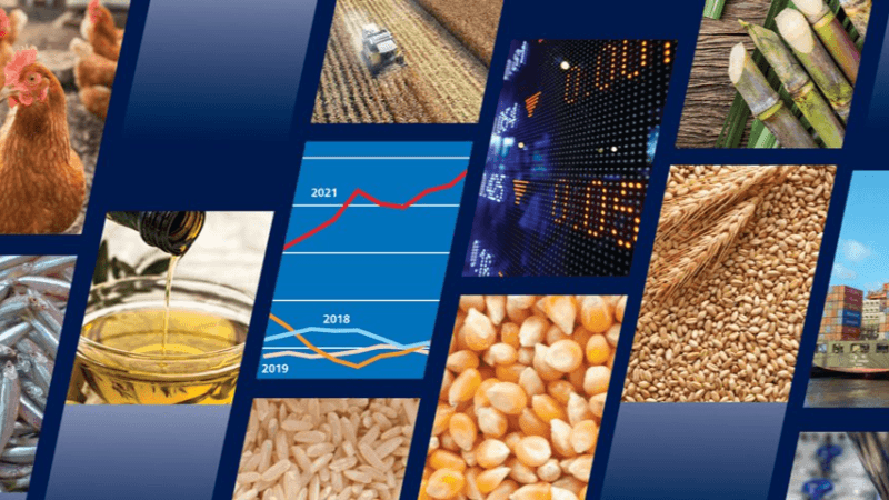 الأمم المتحدة: تراجع أسعار الغذاء العالمية قليلا في جويلية