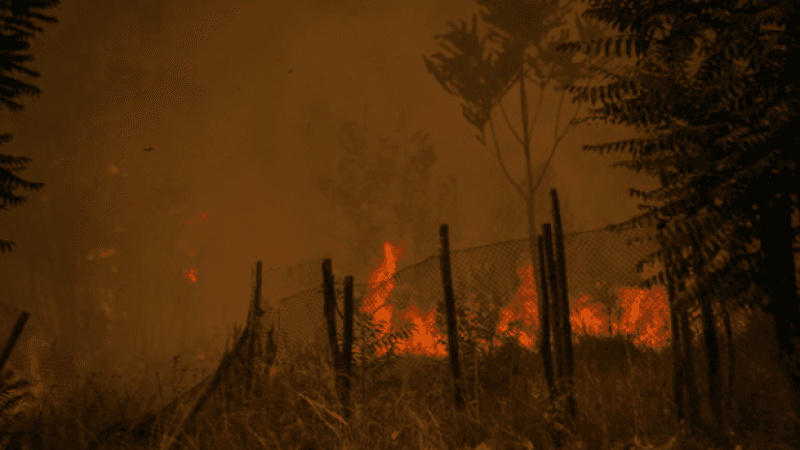 Nouvel incendie majeur à Rome : quatre secouristes grièvement blessés