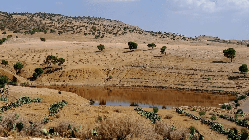 الروحية: تحسّن إيرادات البحيرات الجبلية