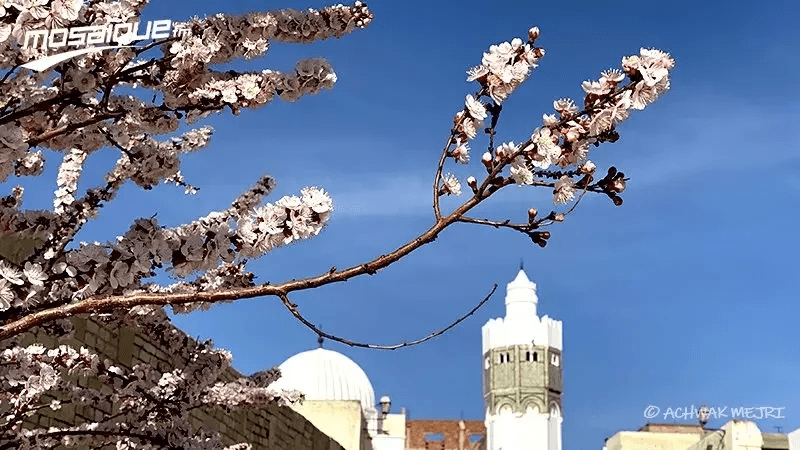 Météo: Pluies et cellules orageuses...