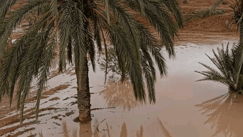 أعلاها بصفاقس.. كميات الأمطار المسجلة إلى حدود مساء الأربعاء