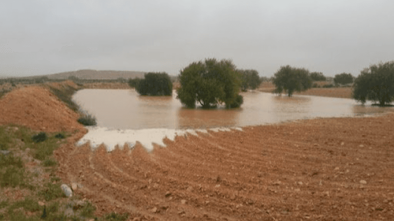 أعلاها في ولاية قابس.. كميات الأمطار المسجلة في الـ24 ساعة الأخيرة