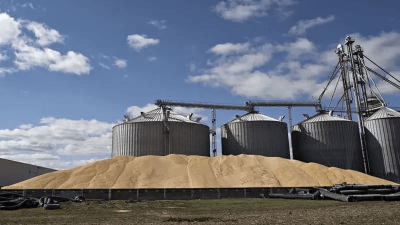 Les réserves de céréales couvrent deux mois de consommation