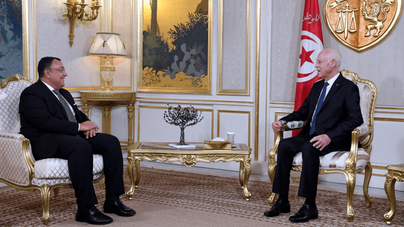 Fin de mission l’ambassadeur d'Egypte en Tunisie