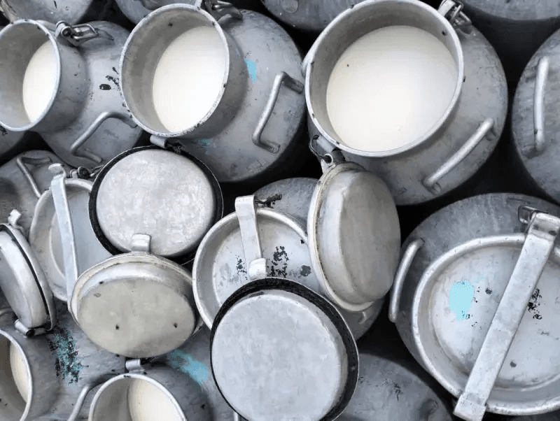 Sidi Bouzid: Mille litres de lait contaminé aux antibiotiques