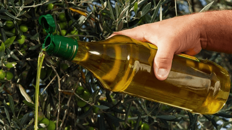 L’huile d’olive plus accessible au consommateur ?
