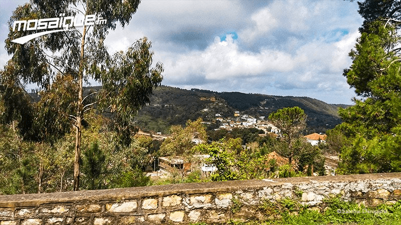 La météo du mardi 17 décembre 2024