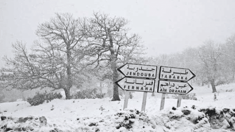 الأجواء الشتوية متواصلة.. والثلوج في الموعد