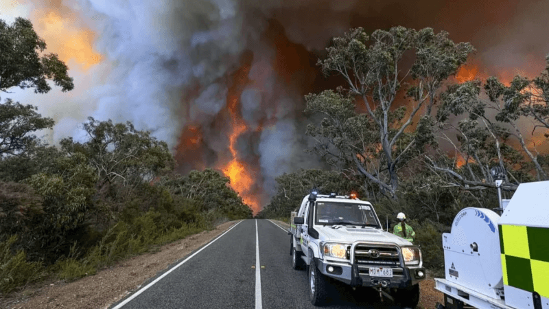 Australie: Important incendie à cause de la chaleur...