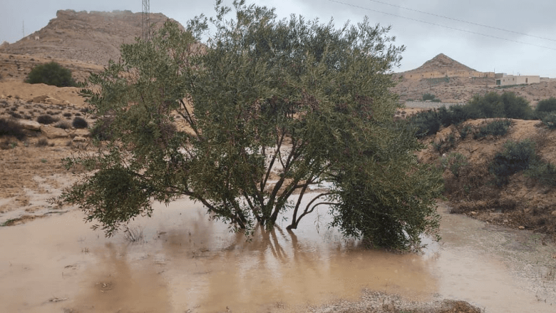 تطاوين: نزول الغيث النافع بغزارة في عدة مناطق