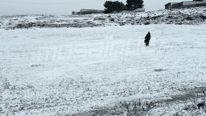 Les hauteurs se couvrent de blanc...