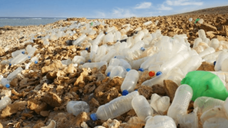 Recyclage du plastique : l’alerte d’un secteur en crise