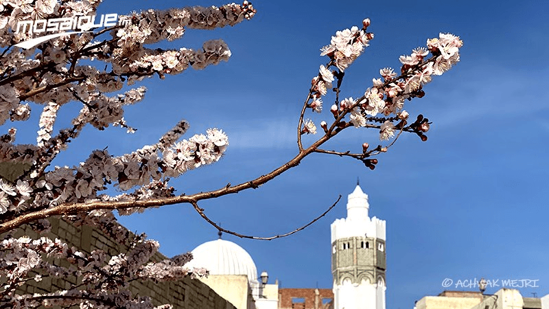 ارتفاع نسبي في درجات الحرارة