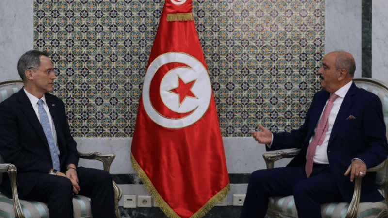 وزير الخارجية يلتقى السفير الأمريكي
