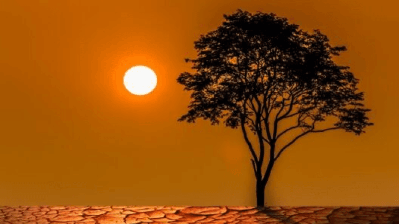 مارس 2025 ثاني أحرّ شهر منذ 1950