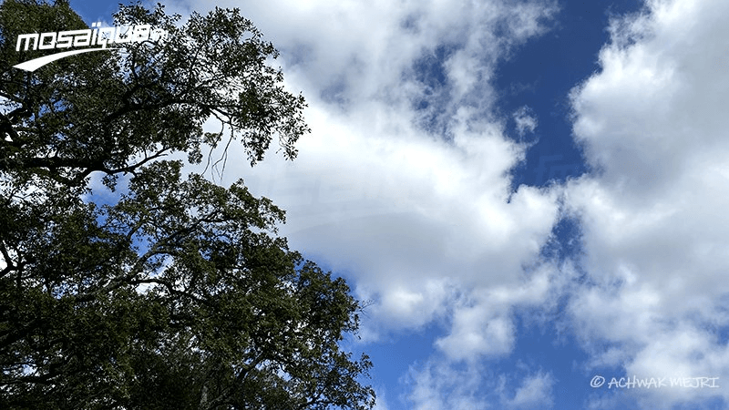 La météo du dimanche 4 mai 2025