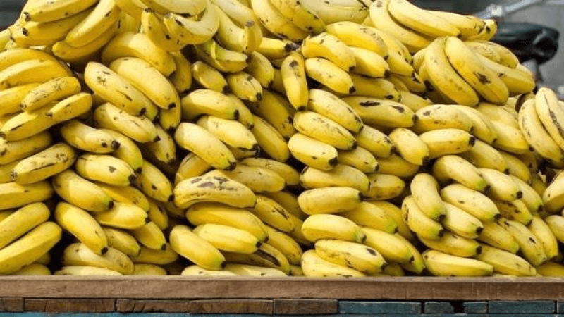 قيمتها تجاوزت الـ450 ألف دينار: حجز صناديق موز مهرّب في نابل