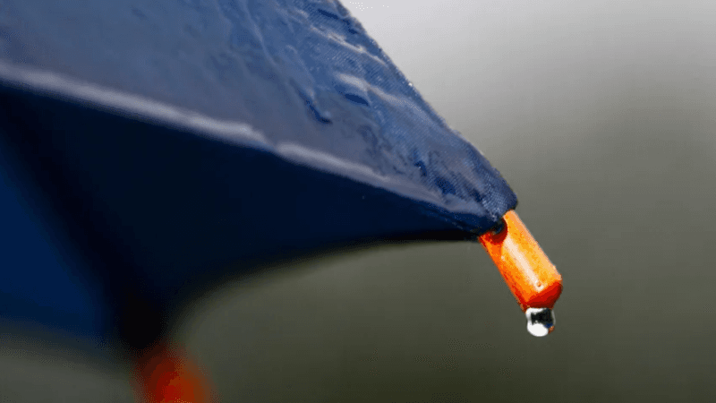 أمطار متفرقة هذا المساء