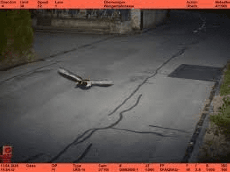 Suisse : un canard flashé en excès de vitesse par un radar