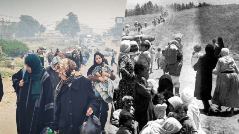 في ذكرى النكبة..تونس تُكبر صمود الشعب الفلسطيني ضد طغيان الكيان المحتل