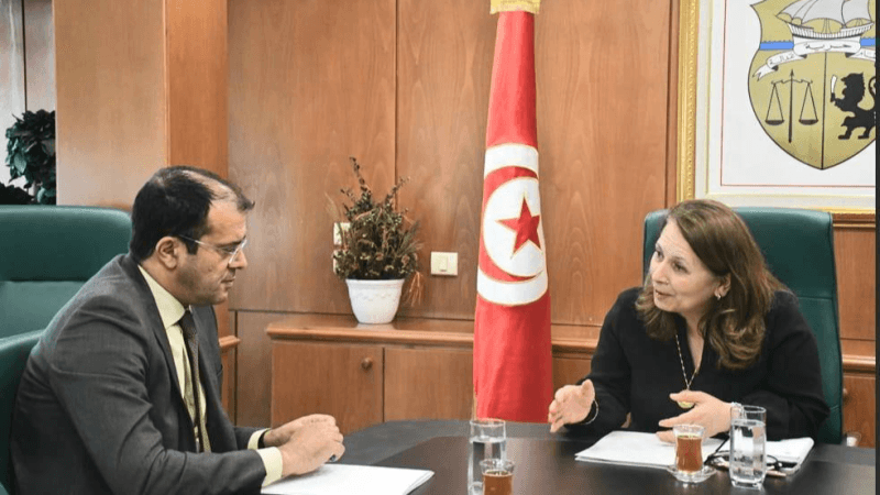 وزيرة الصناعة تبحث سبل توفير تمويلات للمؤسسات الصغرى والمتوسطة