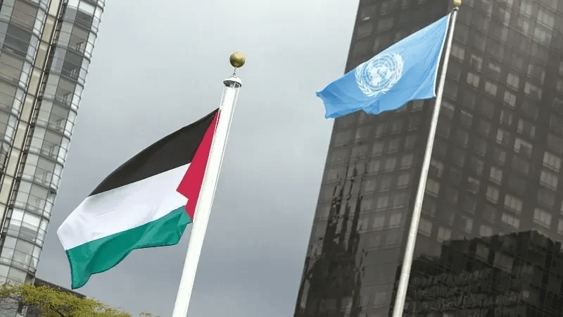في خطوة رمزية.. الصحة العالمية تسمح برفع علم فلسطين لأول مرة