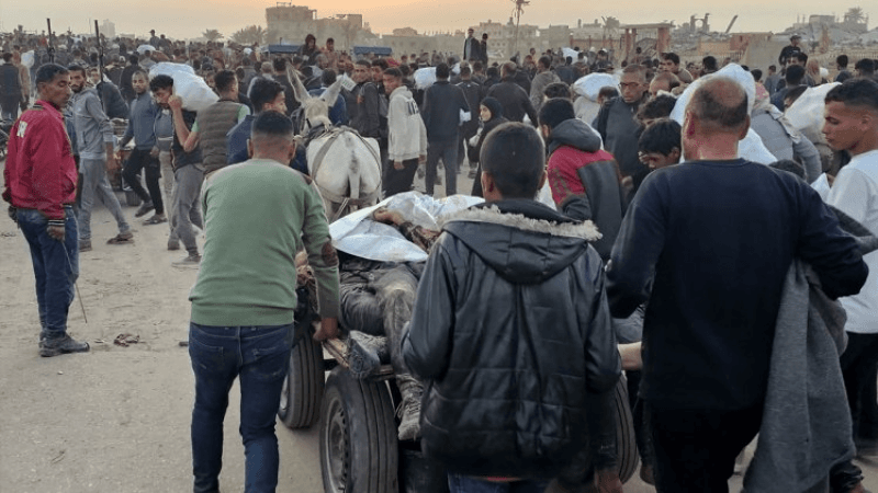 En quête d'aide alimentaire... Au moins 22 Gazaouis abattus par Tsahal