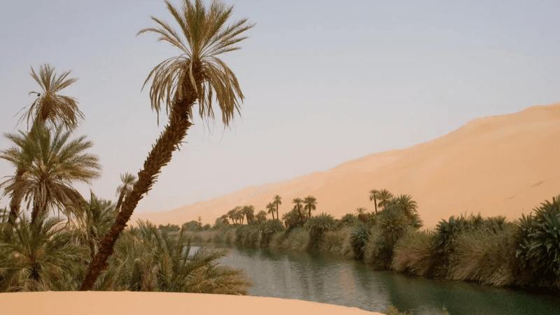 مصر تعتزم بناء مدينة في الصحراء تجري بها مياه النيل