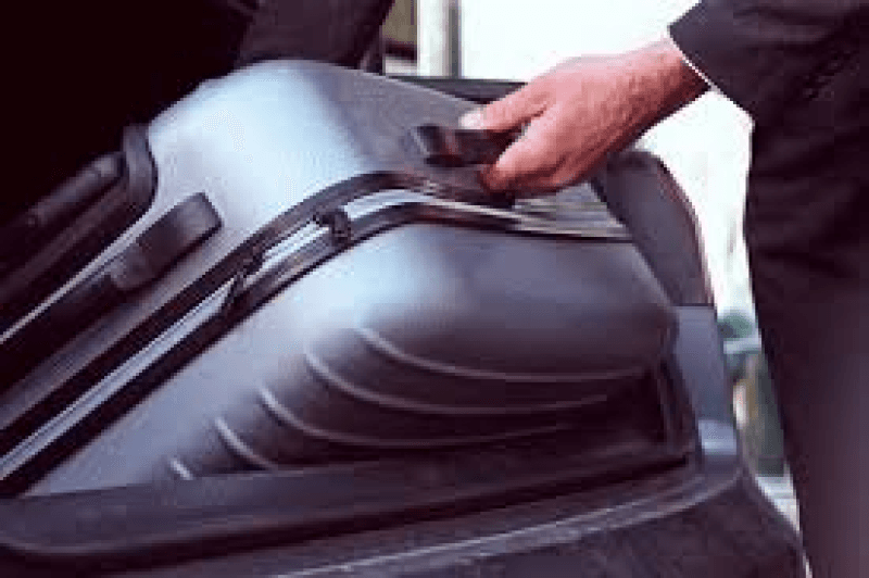 Inde : un homme arrêté avec 40 vipères dans ses bagages