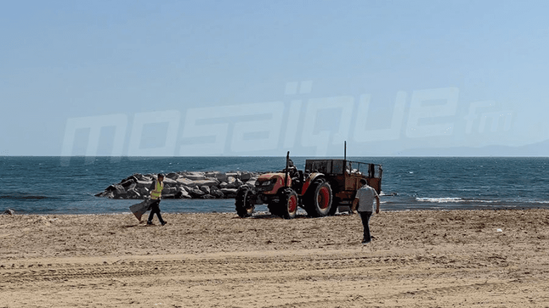 وزير البيئة: نعمل على دفع مشاريع بيئية معطّلة بولاية بن عروس