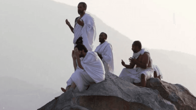 على عرفات.. ضيوف الرحمن يؤدون ركن الحج الأعظم