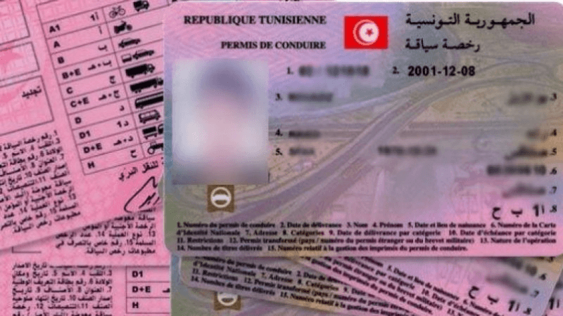 20 جويلية.. دخول 'اتفاق رخص السياقة' بين تونس وإيطاليا حيز التطبيق
