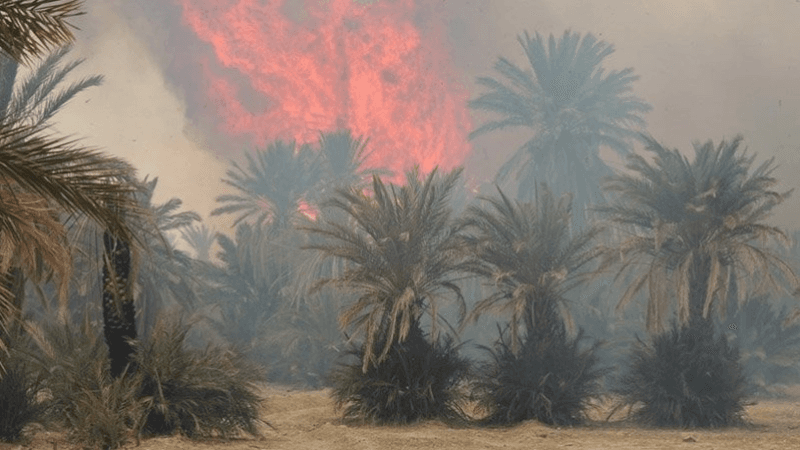 توزر: اندلاع حريق بالواحة القديمة