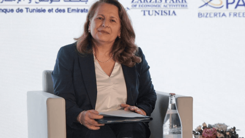 أول اجتماع للجنة الأمن الطاقي: وزيرة الصناعة تدعو لتنويع مصادر الطاقة