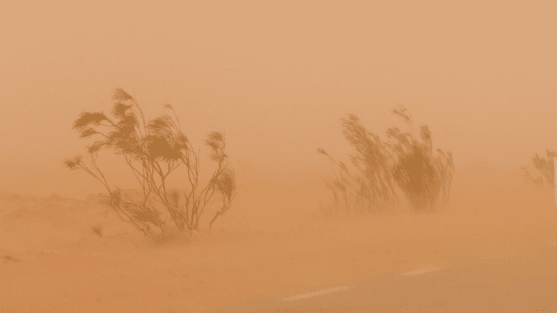 Impressionnante tempête de sable à Tozeur et Kébili