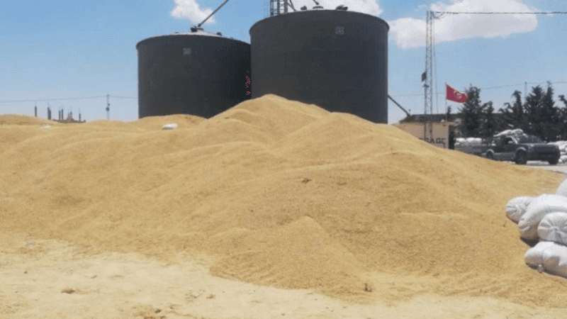 Office des céréales: Grève de deux jours à Sfax, Sousse et Ben Arous