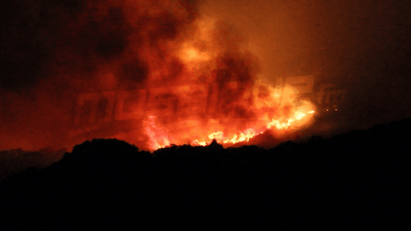 Sbeïtla : l’incendie du Mont Douleb maîtrisé