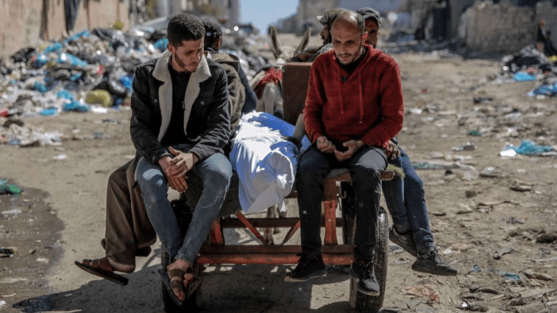 جرّاح بريطاني زار غزة: نقاط توزيع المساعدات شبيهة بلعبة رماية