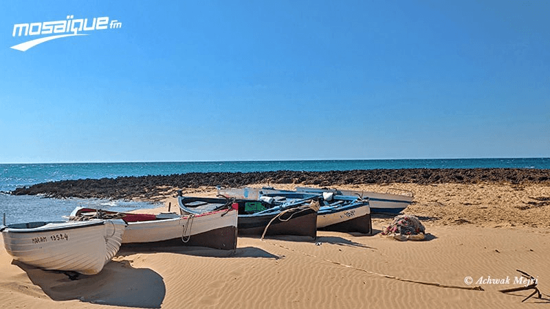 طقس الخميس 31 جويلية 2025