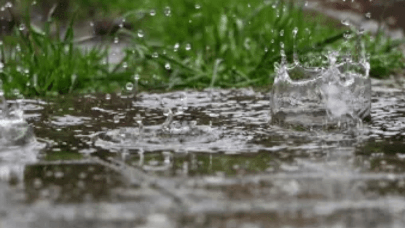 Pluies éparses et vents ces dernières 24h