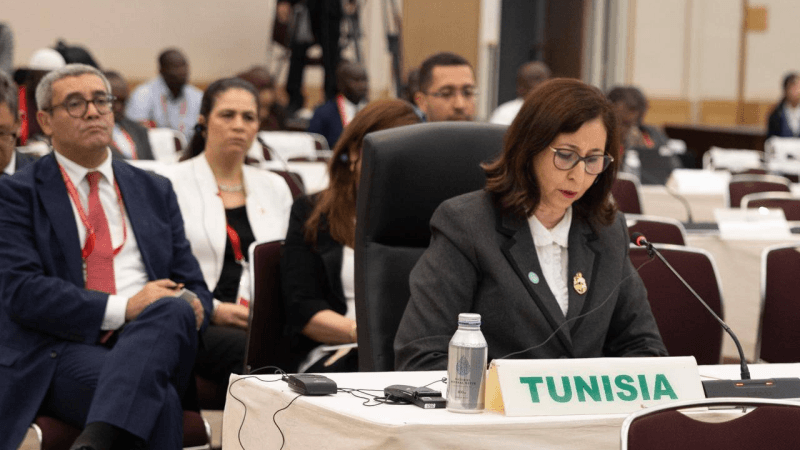 رئيسة الحكومة: تونس اختارت التعويل على الذات.. وأفريقيا للأفارقة