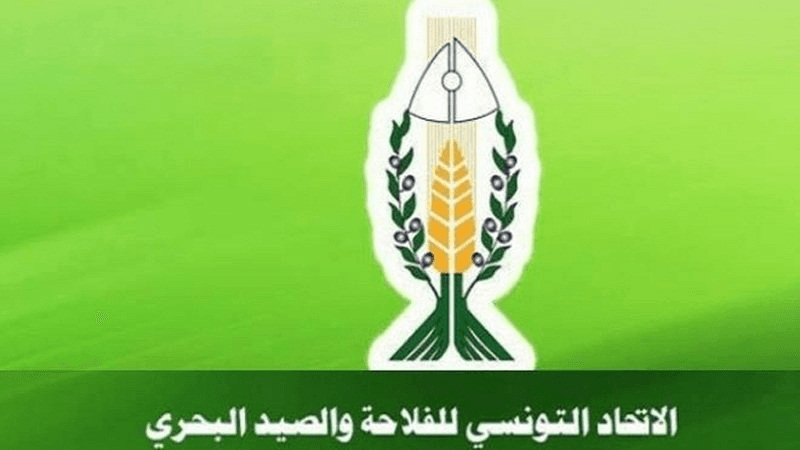 العبيدي:انطلاق عمليات البذر قريبا ودعوة لصرف تعويضات الجوائح للفلاحين
